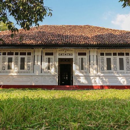 Villa Rosa Blanca Galle Εξωτερικό φωτογραφία