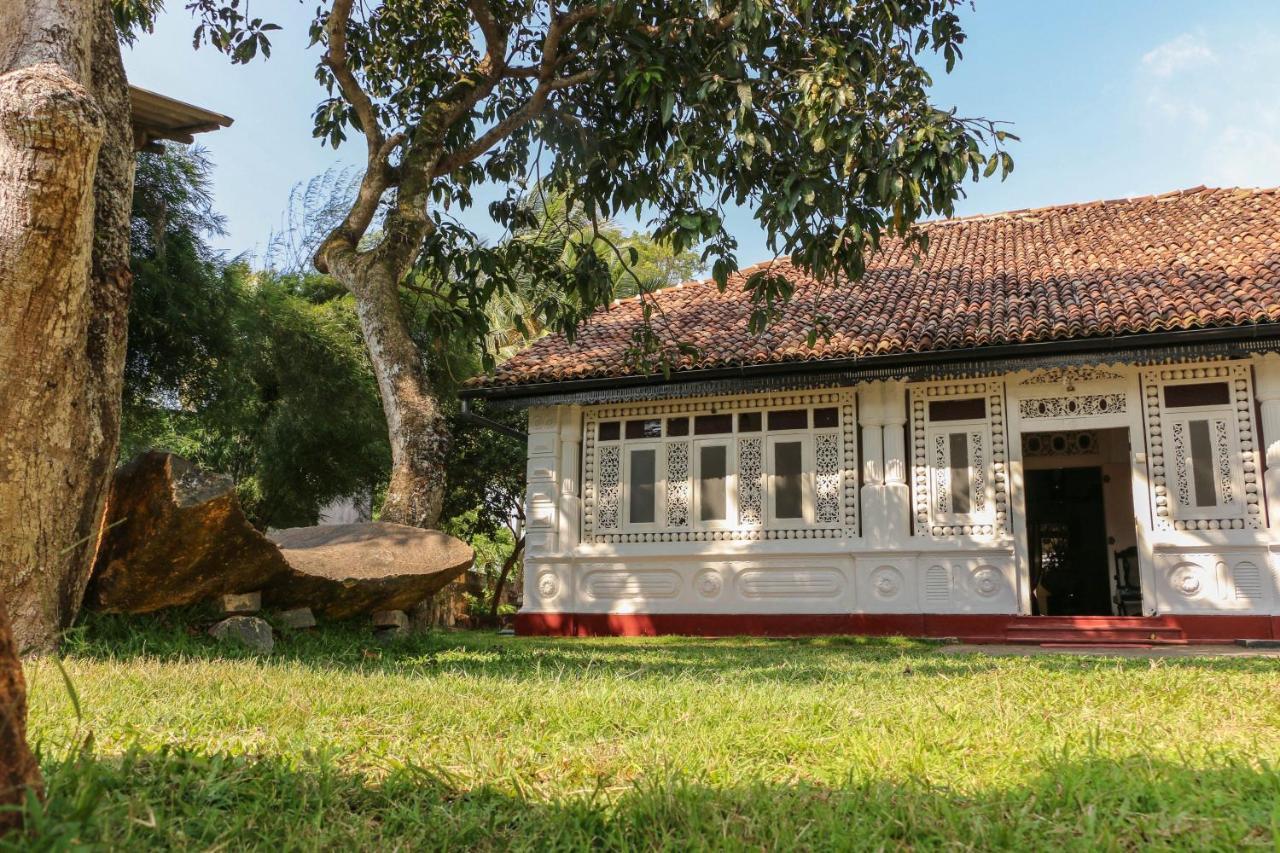 Villa Rosa Blanca Galle Εξωτερικό φωτογραφία